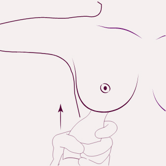 Preserve